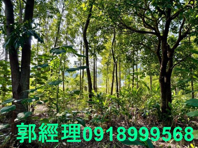 台南南化農地-8