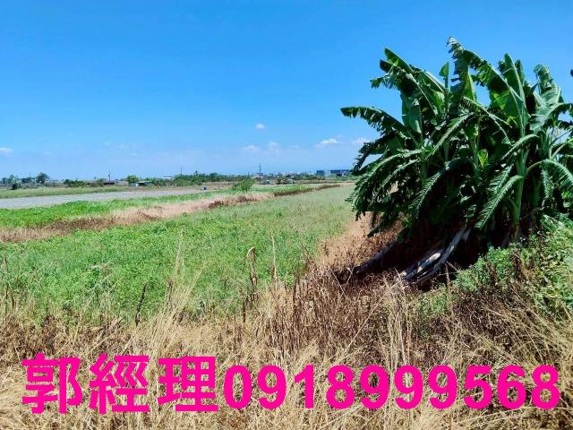 台南將軍農地-6