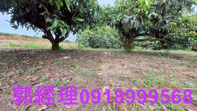 官田農地-9