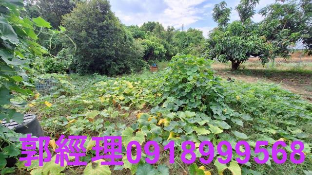 官田農地-14