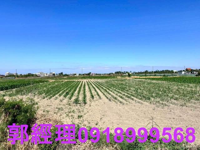 學甲農地-5
