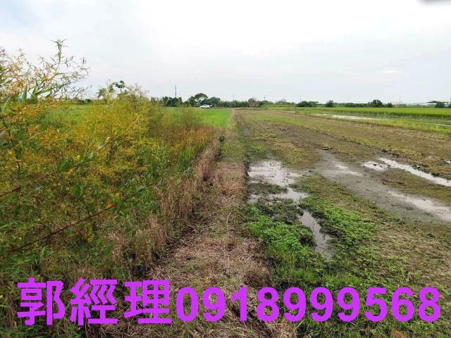 後壁農地-2