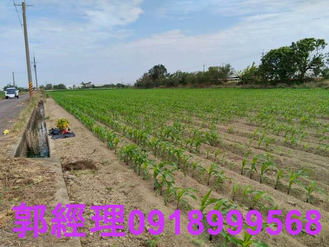 台南農地-1