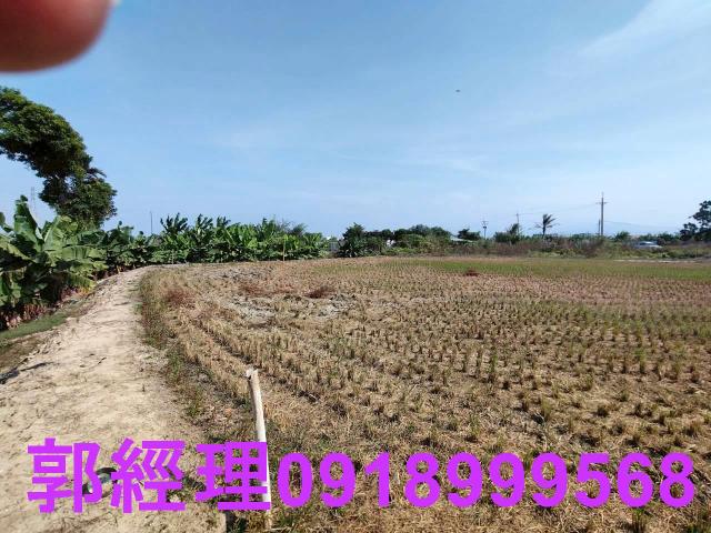 台南農地-0