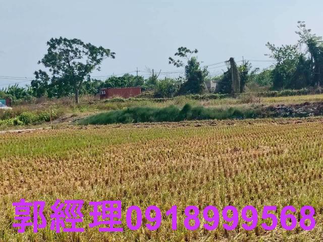 台南農地-5