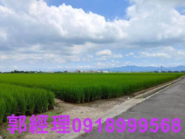 台南農地-5