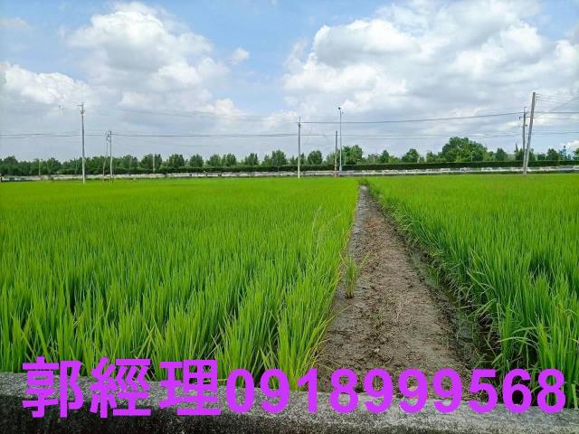 台南農地-0