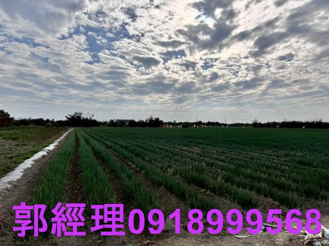 台南農地-3