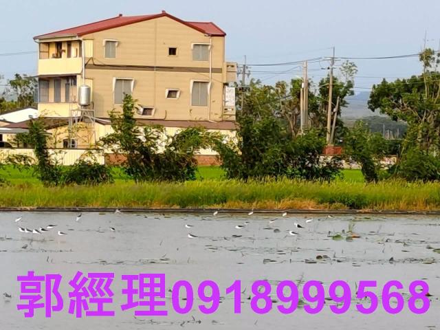 台南農地-7