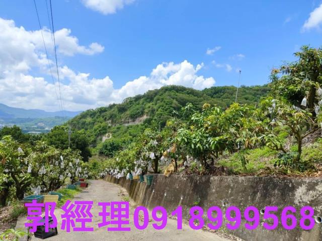台南玉井農地-11