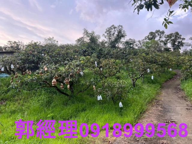台南玉井農地-3