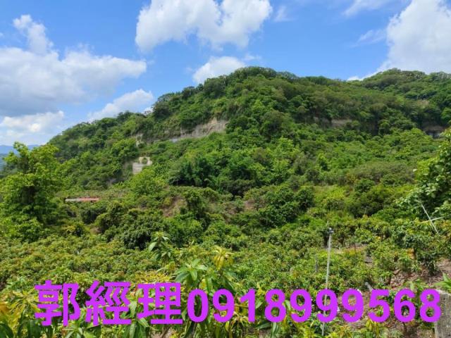台南玉井農地-6