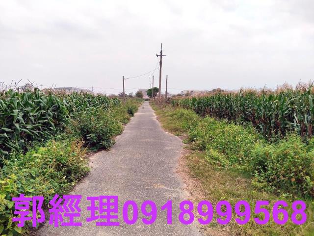 台南新營農地-5